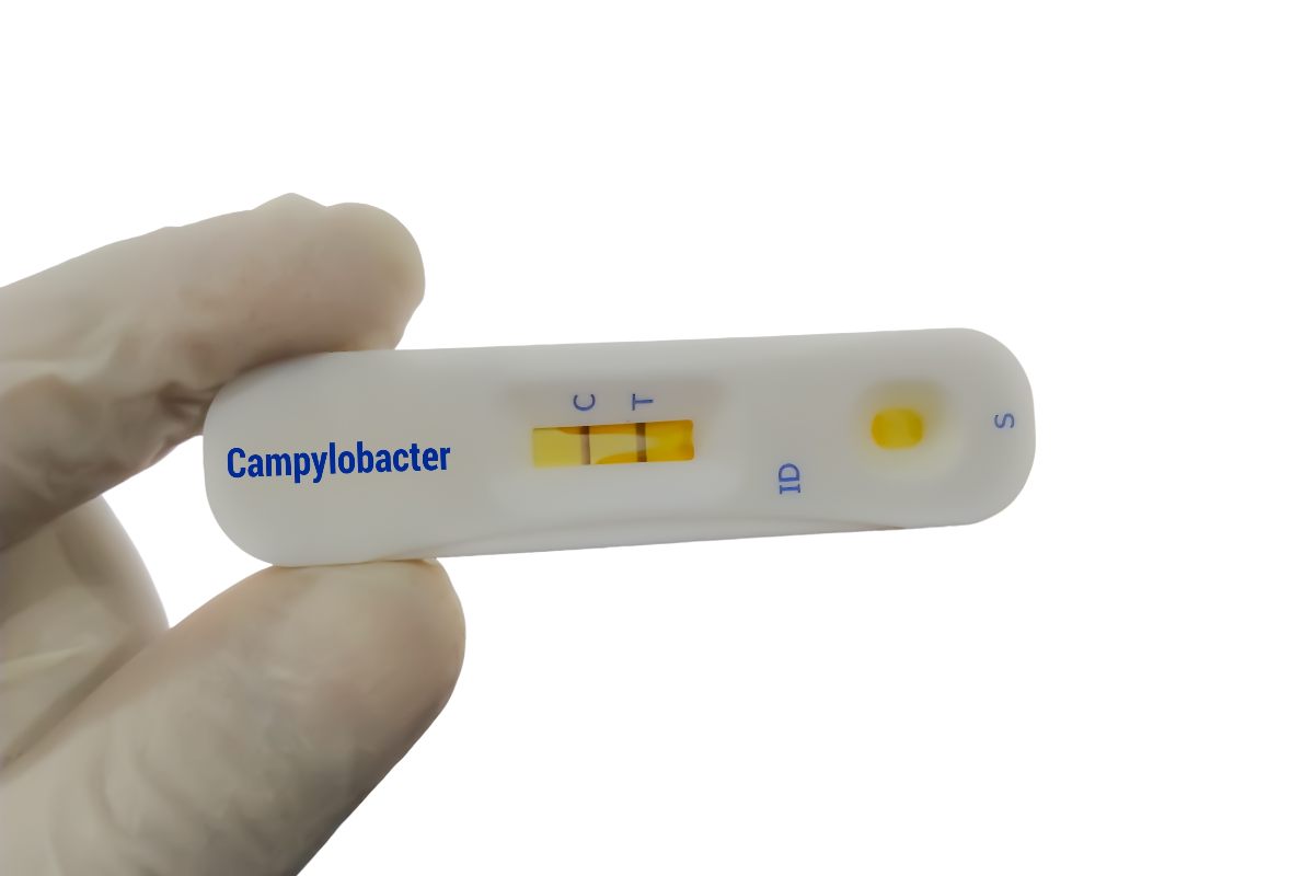 Campylobacter - tot ce trebuie să știi despre infecția cu această bacterie!