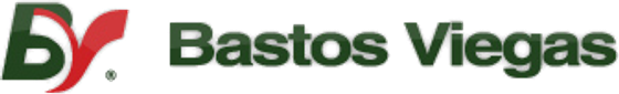 Bastos Viegas