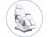 Scaune electrice