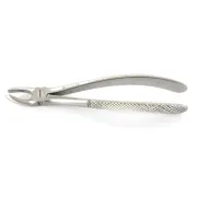 Cleste pentru extracție din oțel inoxidabil pentru molari superiori drepti, lungime 17,5 cm