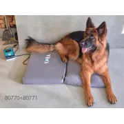 Saltea Kora Mat pentru Terapia PEMF 64x40 cm
