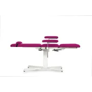 Canapea Beauty / Tatuaje Fixă cu Brațe Reglabile și Secțiuni de Picioare Ajustabile - disponibilă in diverse culori