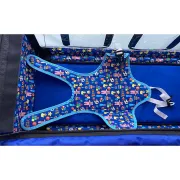 Unitate de transport pentru nou-născuți – INFANT TRANSPORT UNIT