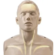 Manechin Resuscitare Brayden Lights - Simulator RCP cu Feedback LED