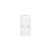 3M™ Tegaderm™ Film 16004 – Rolă de Peliculă Transparentă Nesterilă, 10 cm x 10 m (1 rolă)