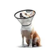 Guler elizabethan M/L pentru animale, circumferință gât 36–42 cm (cutie 10 buc)