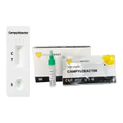 Test rapid campylobacter (fecale) Golden Protect