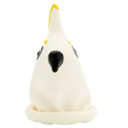 Prezervativ decorativ pictat manual Condomerie Parrot White