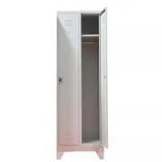 Vestiar metalic, 2 compartimente, cu picioare, bară umerașe, 600x450x1800mm, gri, A891/8 B4U, montat