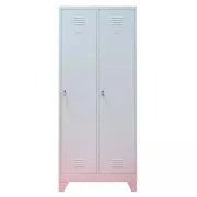 Vestiar metalic, 2 compartimente, cu picioare, bară umerașe, 800x450x1800mm, gri, A888 B4U, montat