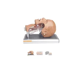 Simulator pentru managementul căilor respiratorii Ambu® Airway Management Trainer