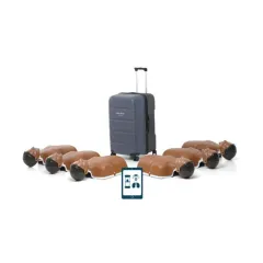 Set 6 manechine de resuscitare Laerdal Little Anne Stackable QCPR, nuanță închisă