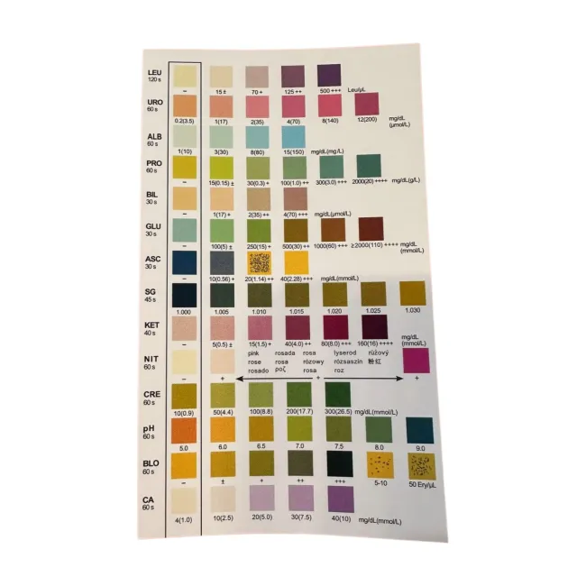 Kit 5 teste rapide sumar urina pentru infectii urinare si stare generala de bine, 14 parametri, Golden Protect