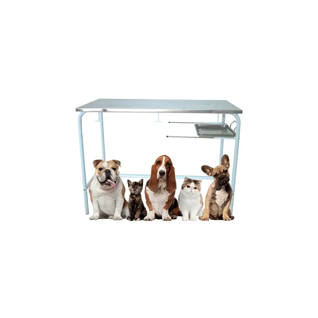 Masa examinare veterinara