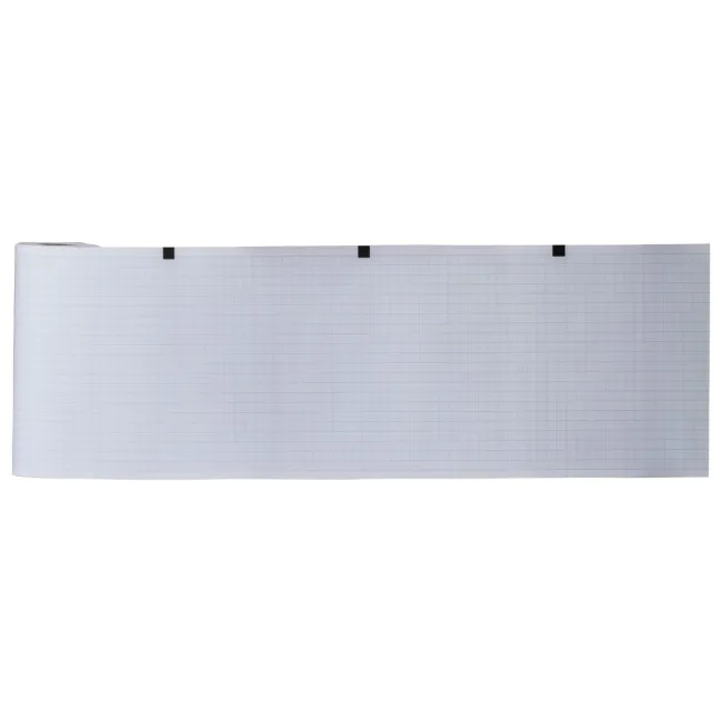 Hartie ECG/EKG, 120mmx20m (Electronica Trentina), 5 role