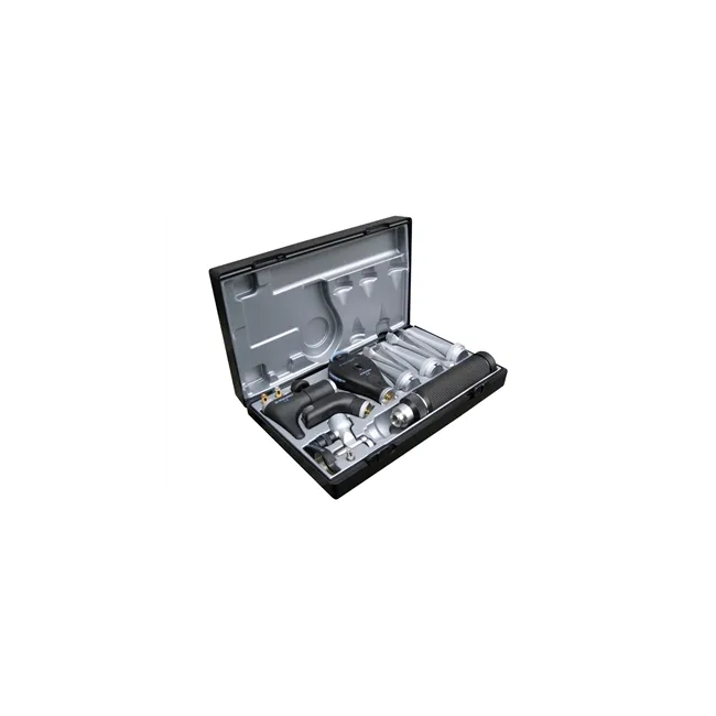 Set Deluxe de Otoscop și Oftalmoscop Veterinar Riester HL 2.5V cu mâner AA