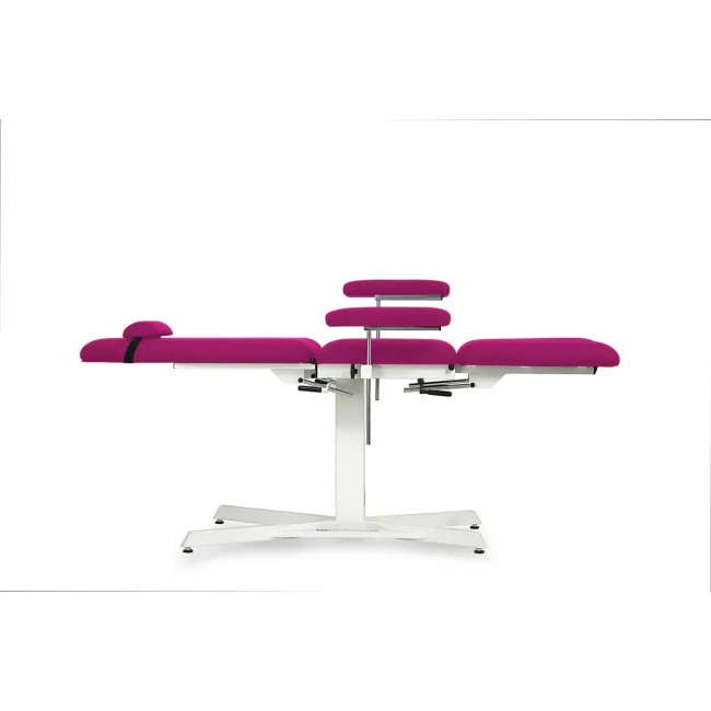 Canapea Beauty / Tatuaje Fixă cu Brațe Reglabile și Secțiuni de Picioare Ajustabile - disponibilă in diverse culori
