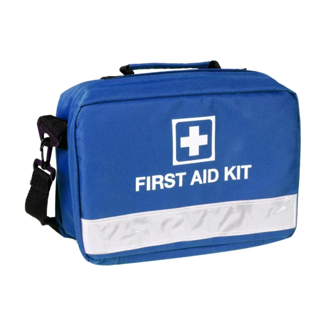 Geantă Medicală de Prim Ajutor "Medication First Aid Bag" – Spaciu Compact de Depozitare, Compartimentare cu Fermoare și Buzunare Transparente