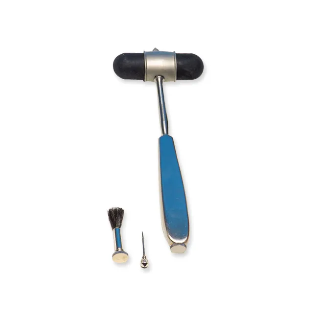 Ciocan neurologic Dejerine Classic argintiu cu ac și perie, mâner inox 22 cm (1 buc)