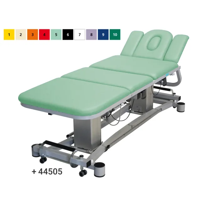 Canapea de tratament cu 4 secțiuni și înălțime reglabilă electric, 195 × 68 cm (1 buc)