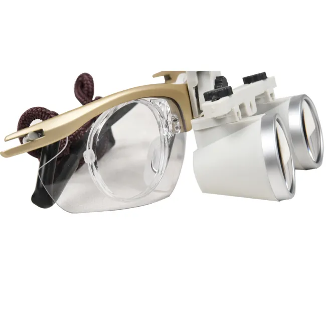 Lupă binoculară Style 2,5x distanță de lucru 420 mm (1 buc)