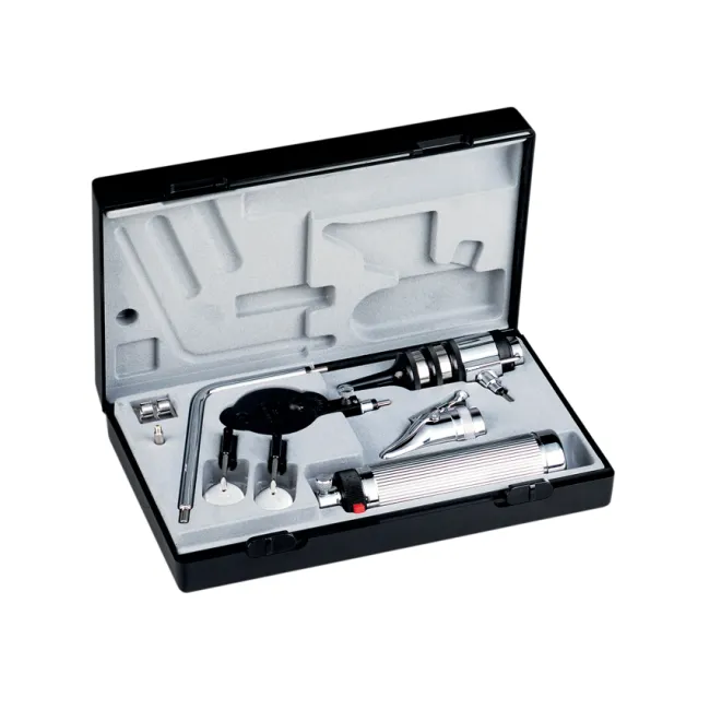 Set diagnostic portabil Riester Econom XL 2,5 V pentru ORL și oftalmologie