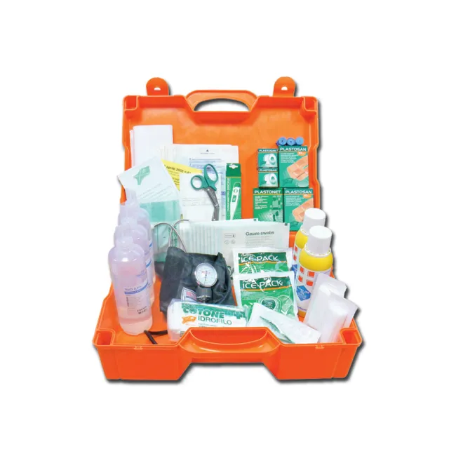Trusă medicală Large Kit cu carcasă din plastic 460 × 345 × 135 mm