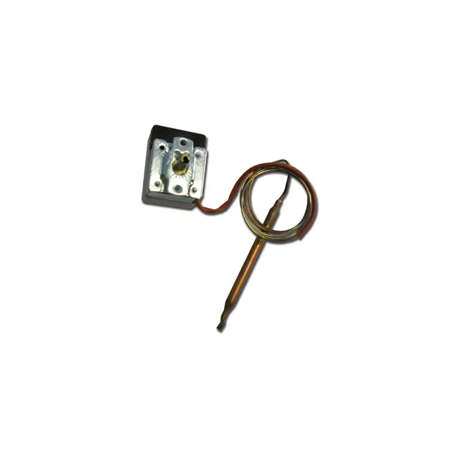 Termostat pentru sterilizator Gimette