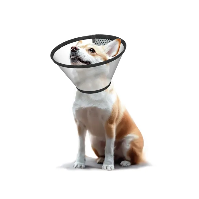 Guler elizabethan XL pentru animale, circumferință gât 43–50 cm (cutie 10 buc)