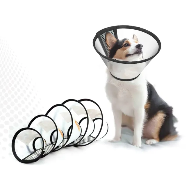 Guler elizabethan XL pentru animale, circumferință gât 43–50 cm (cutie 10 buc)