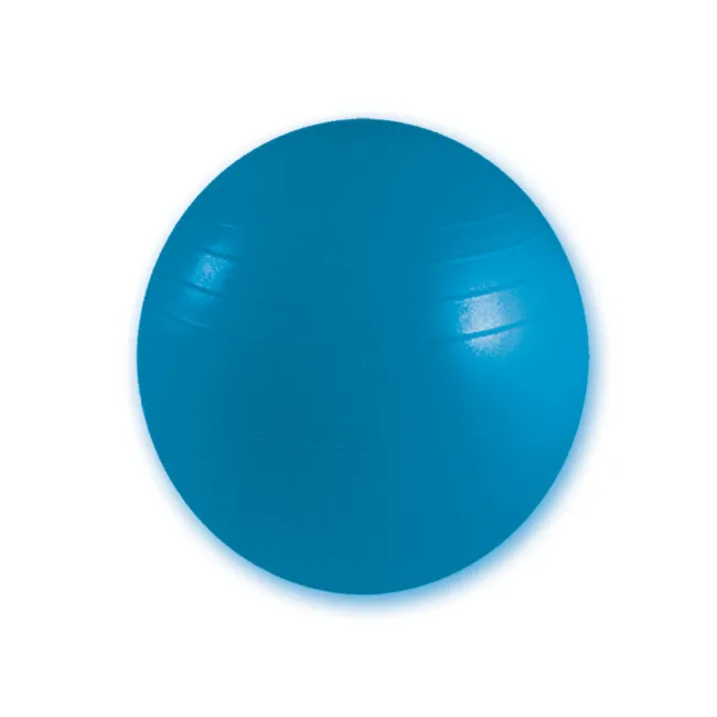 Minge de fitness rezistentă la explozie, diametru 75 cm, albastră