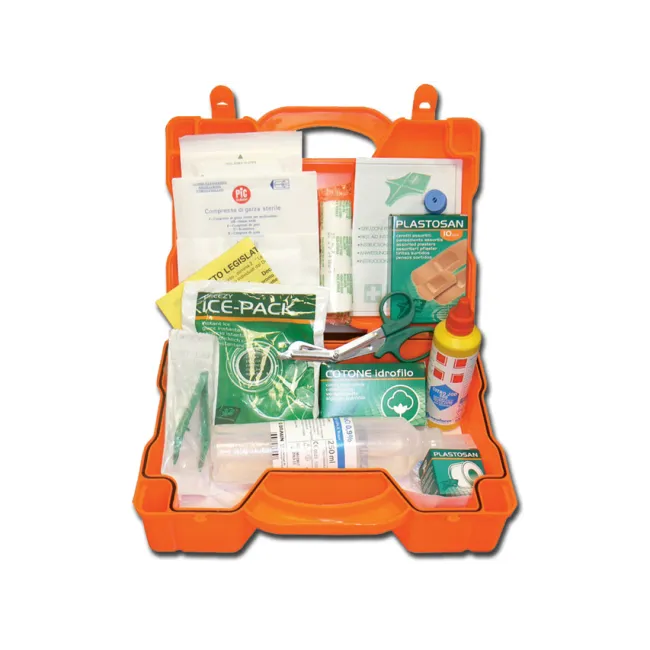 Trusă de prim ajutor mică în valiză din plastic, 290 × 215 × 90 mm (1 buc)