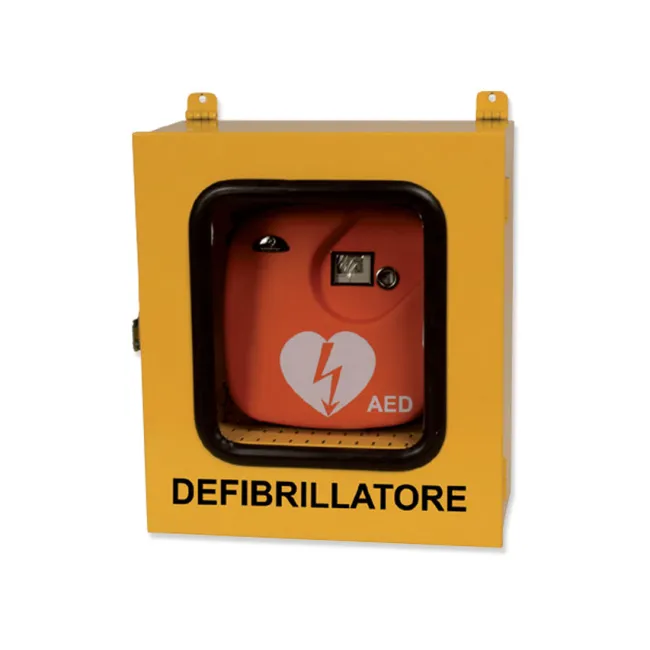 Dulap metalic galben pentru defibrilatoare, utilizare exterioară, 43 × 21 × 48 cm (1 buc)