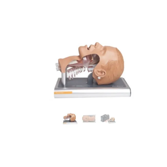 Simulator pentru managementul căilor respiratorii Ambu® Airway Management Trainer