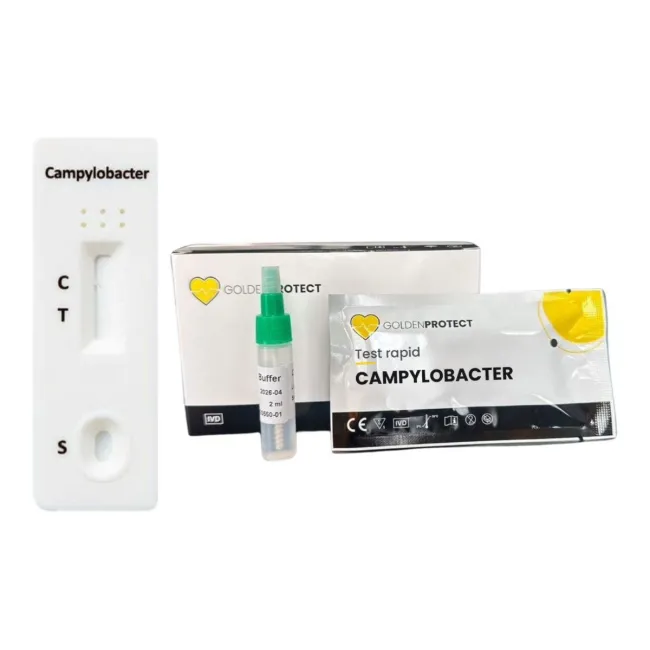Test rapid campylobacter (fecale) Golden Protect