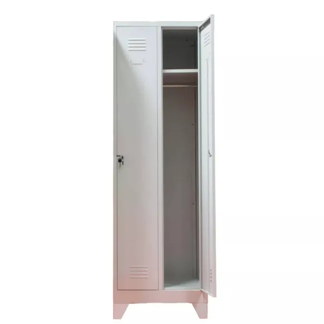 Vestiar metalic, 2 compartimente, cu picioare, bară umerașe, 600x450x1800mm, gri, A891/8 B4U, montat