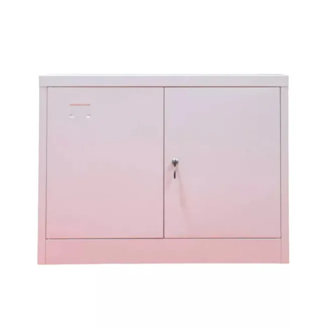 Fișet metalic, 2 uși, 1 poliță, 35 kg/poliță, 800x350x600mm, gri, B129 B4U