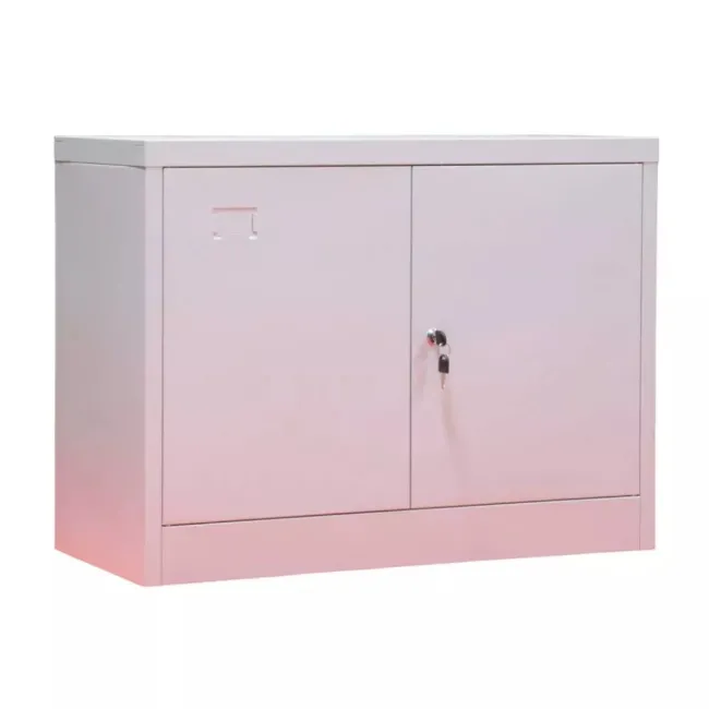 Fișet metalic, 2 uși, 1 poliță, 35 kg/poliță, 800x350x600mm, gri, B129 B4U, montat