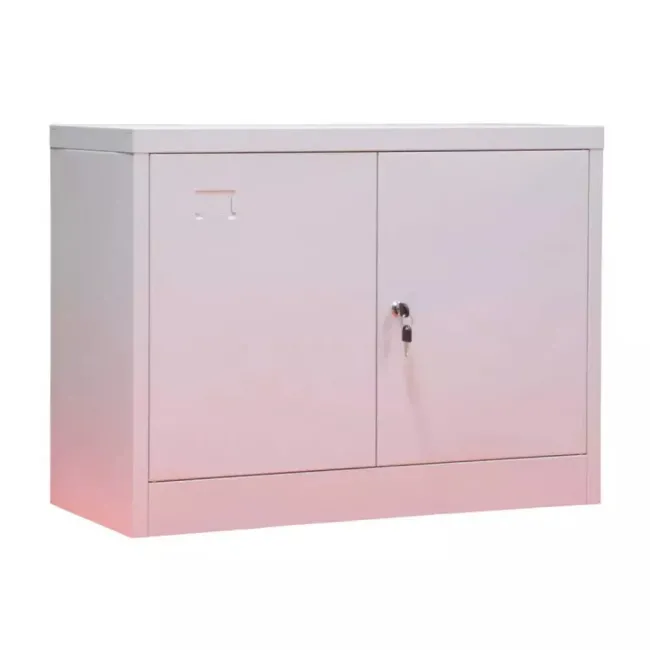Fișet metalic, 2 uși, 1 poliță, 35 kg/poliță, 800x350x600mm, gri, B129 B4U, la palet