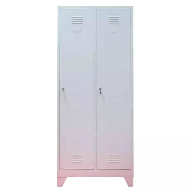 Vestiar metalic, 2 compartimente, cu picioare, bară umerașe, 800x450x1800mm, gri, A888 B4U, montat